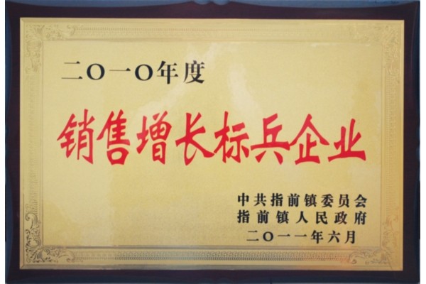 销售增长标兵企业